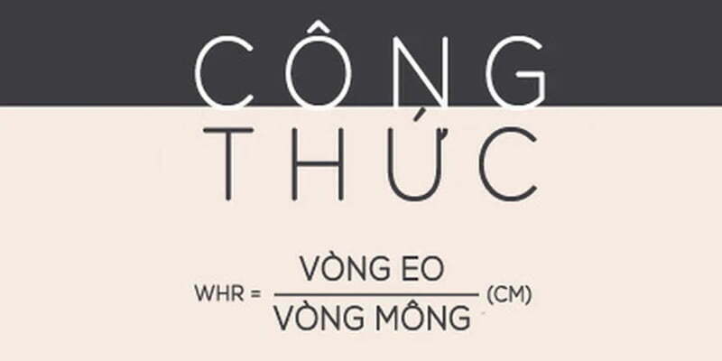 Chỉ số WHR – thước đo cho sự hoàn hảo của thân hình