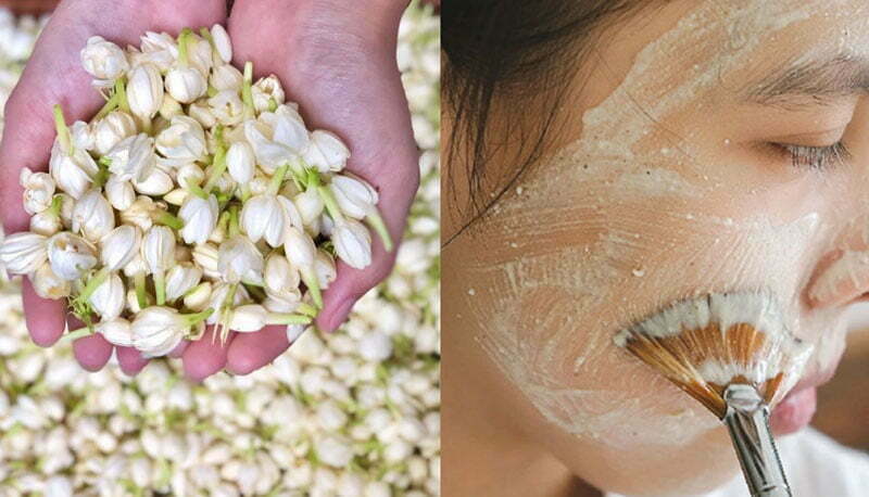 Đắp mặt nạ hoa nhài