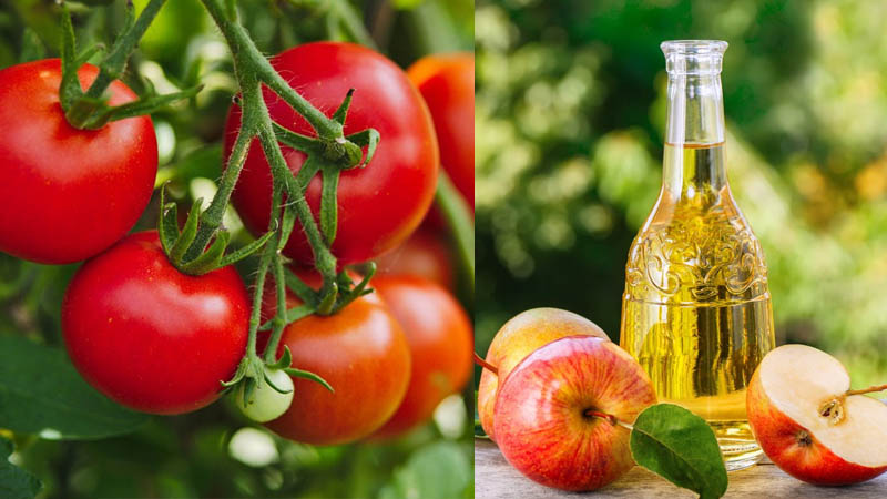 Có thành phần axit tự nhiên khiến những vết thâm mờ đi trông thấy