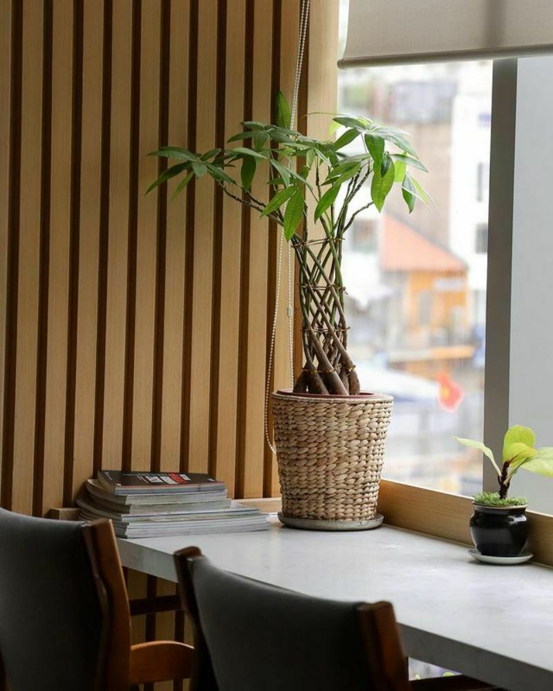 Miyama – Modern Tokyo Restaurant Cafe
