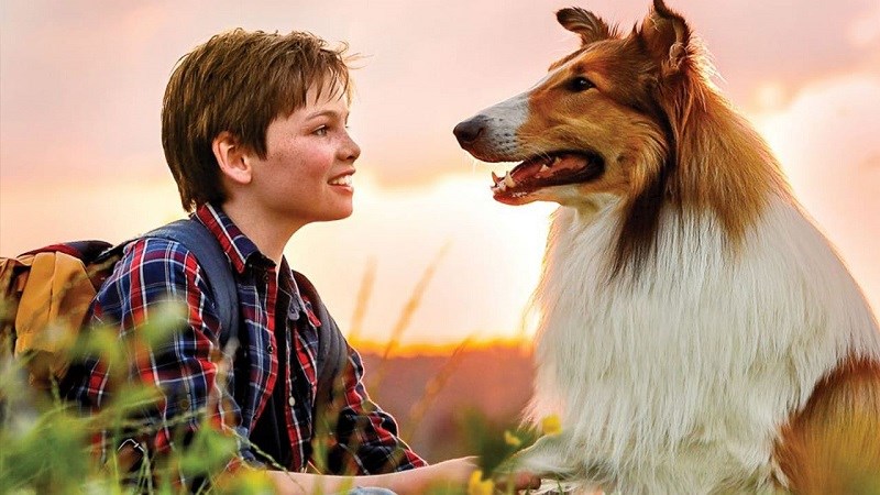 Lassie về nhà (Lassie Come Home) - 2005