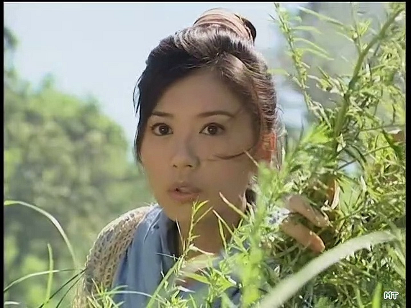 Ỷ Thiên Đồ Long Ký