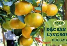 Top 15 đặc sản Lạng Sơn làm quà tặng nổi tiếng làm bao người đê mê