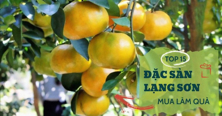 Top 15 đặc sản Lạng Sơn làm quà tặng nổi tiếng làm bao người đê mê