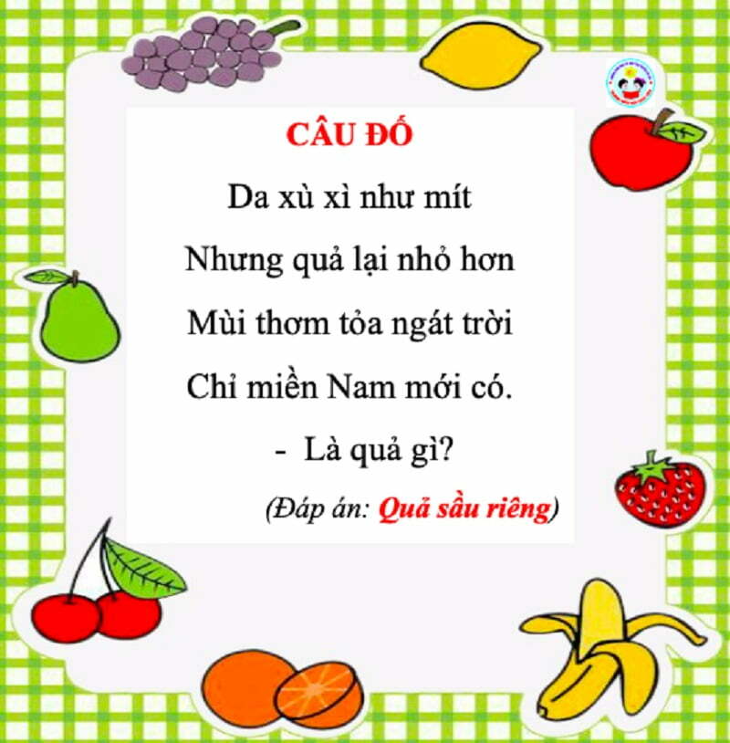 Câu đố về quả sầu riêng