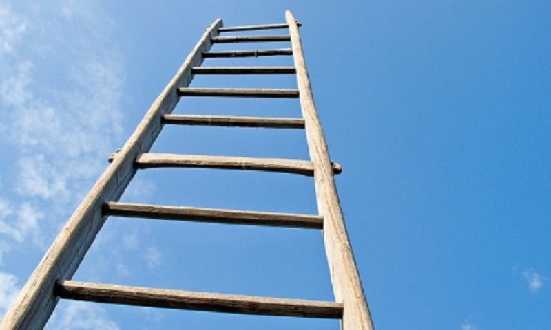 Câu số 8