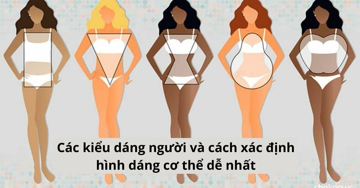 Các Kiểu Dáng Người Và Cách Xác định Hình Dáng Cơ Thể Dễ Nhất