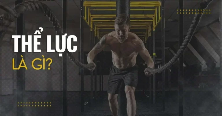 Thể lực là gì? Lợi ích và các bài tập nâng cao thể lực hiệu quả