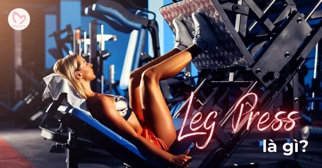 Leg Press là gì? Cách tập Leg Press đạt kết quả tốt nhất