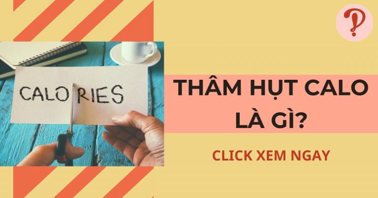Thâm hụt calo là gì? Cách tính thâm hụt calo để giảm cân hiệu quả
