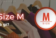 Size M là gì? Size M là bao nhiêu kg? Cách chọn phù hợp