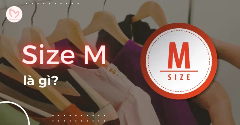 Size M là gì? Size M là bao nhiêu kg? Cách chọn phù hợp