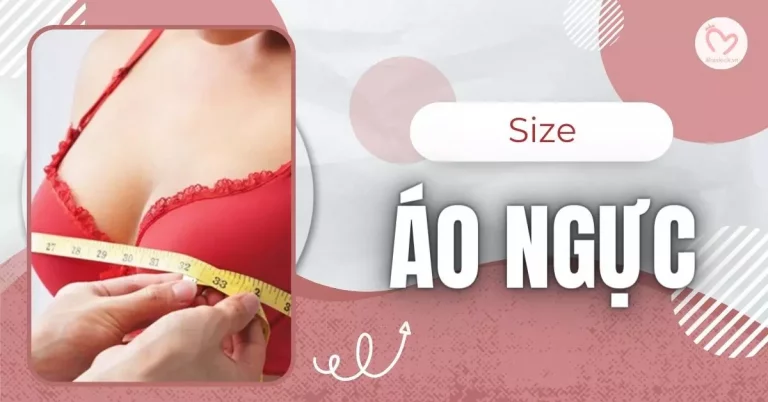 size áo ngực