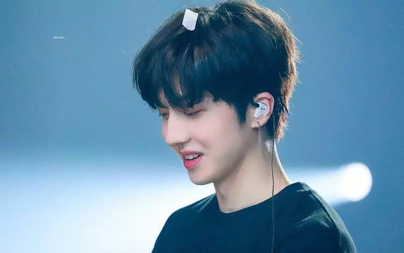 Chani
