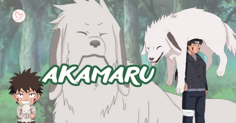 Akamaru chú chó đặc biệt trong Naruto